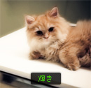 輝き