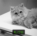 モノクロ